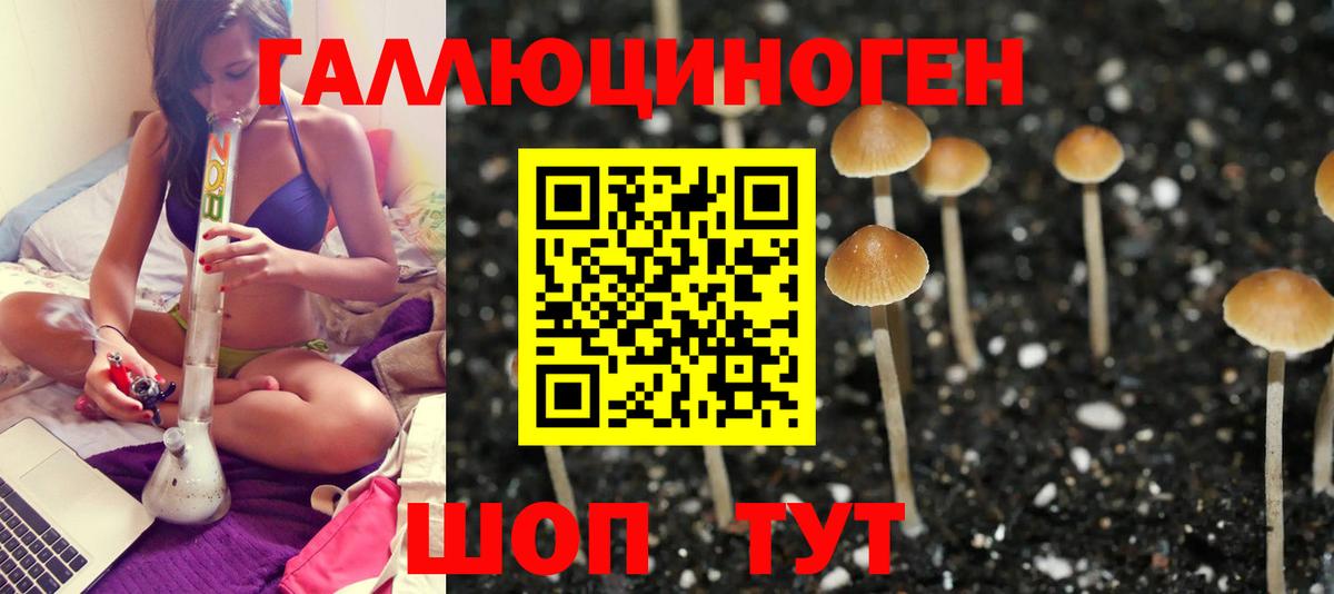Галлюциногенные грибы мицелий  Галлюциногенные грибы Magic Shrooms  Мегион  Вход с VPN 
